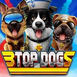 3 Top Dogs